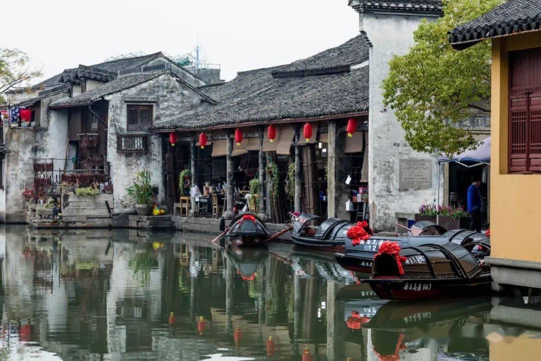 逃离森林边缘